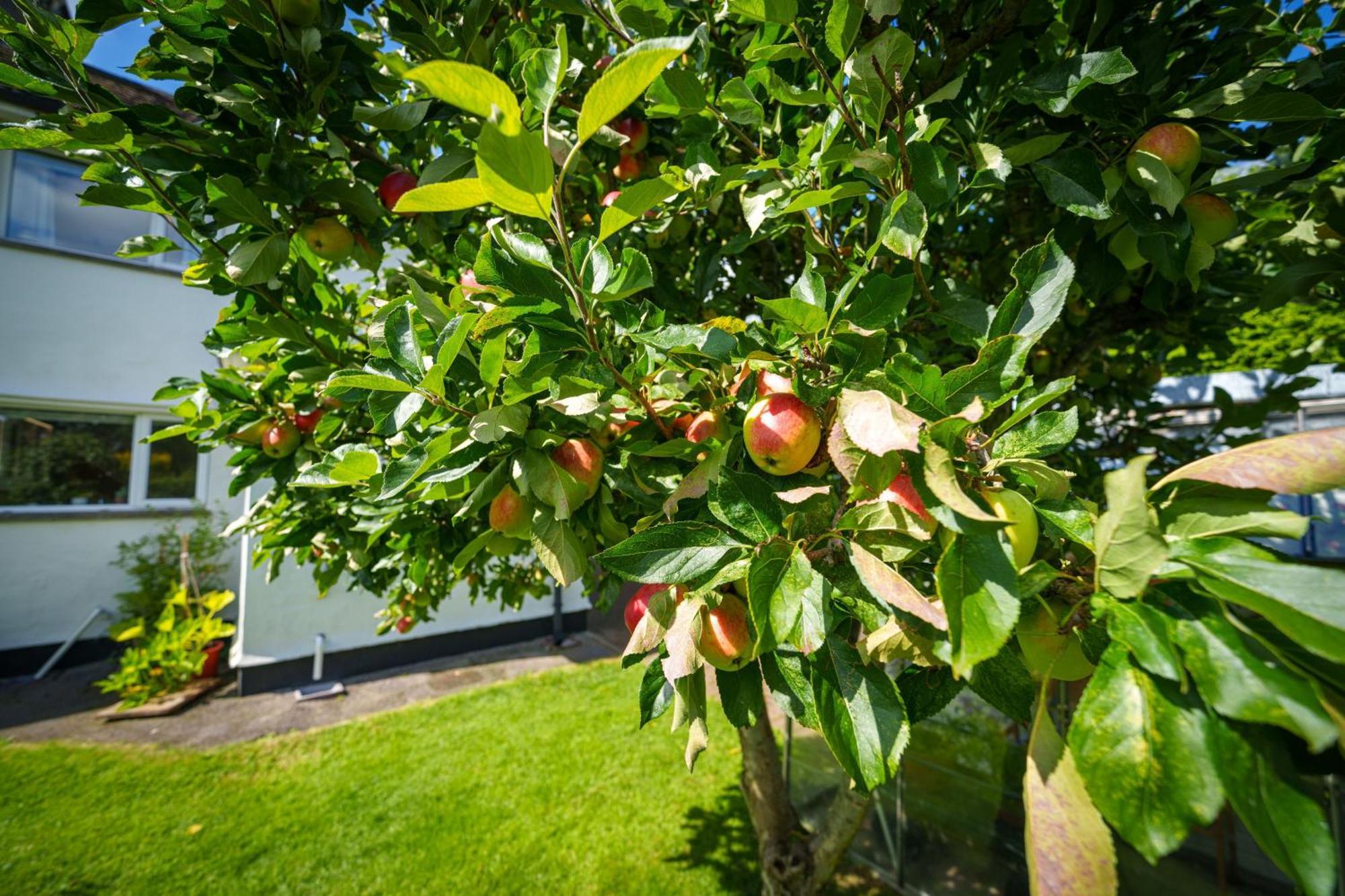 Willa Apple Byrd - Short Stroll Into Kendal Town Centre Zewnętrze zdjęcie